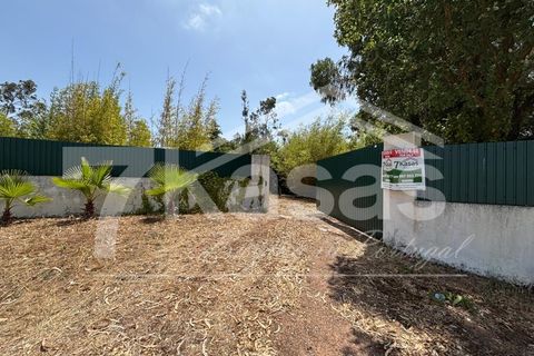 Farm i Bombarral, Leiria, Bombarral - € 330.000 | Ref: K366 - foto 27