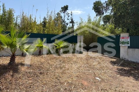 Farm i Bombarral, Leiria, Bombarral - € 330.000 | Ref: K366 - foto 28