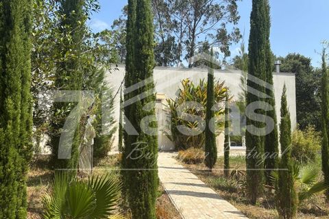 Farm i Bombarral, Leiria, Bombarral - € 330.000 | Ref: K366 - foto 30