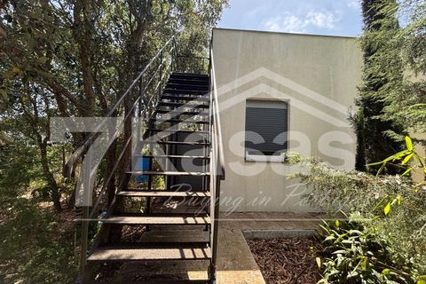Farm i Bombarral, Leiria, Bombarral - € 330.000 | Ref: K366 - foto 31