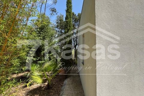 Farm i Bombarral, Leiria, Bombarral - € 330.000 | Ref: K366 - foto 33