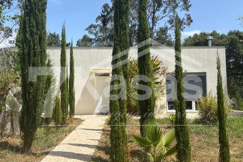 Farm i Bombarral, Leiria, Bombarral - € 330.000 | Ref: K366 - foto 34