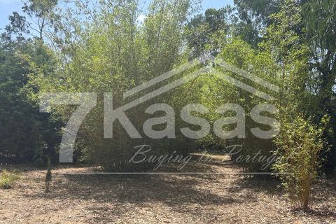 Farm i Bombarral, Leiria, Bombarral - € 330.000 | Ref: K366 - foto 35