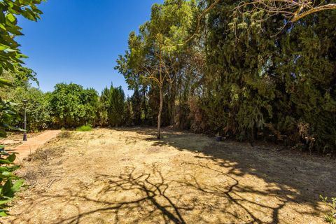 Villa a Archidona, Malaga, Archidona - € 390.000 | Ref: R5437594 - foto 48