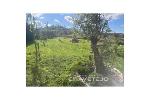 Villa a Miranda do Corvo, Coimbra, Miranda do Corvo - € 380.000 | Ref: 537/26 - foto 24