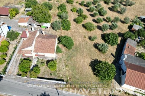 Tomt i Tomar, Santarem, Tomar - € 60 000 | Ref: 616/26 - foto 2
