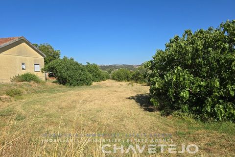 Tomt i Tomar, Santarem, Tomar - € 60 000 | Ref: 616/26 - foto 3