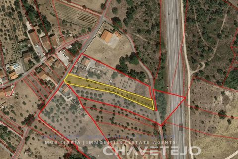 Tomt i Tomar, Santarem, Tomar - € 60 000 | Ref: 616/26 - foto 11