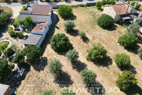 Tomt i Tomar, Santarem, Tomar - € 60 000 | Ref: 616/26 - foto 13