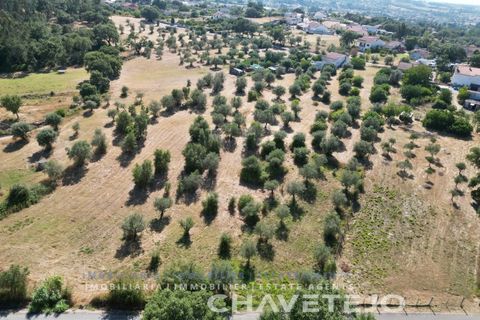 Tomt i Tomar, Santarem, Tomar - € 60 000 | Ref: 616/26 - foto 14