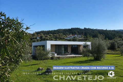 Terra em Abrantes, Santarem, Abrantes - € 30.000 | Ref: 612/26 - foto 1