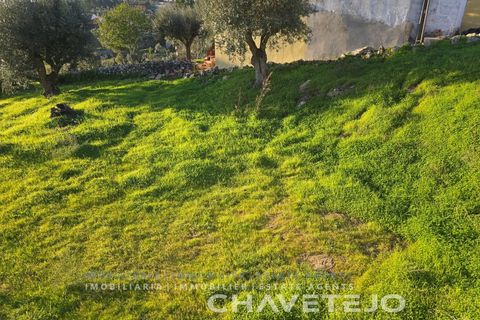 Terra em Abrantes, Santarem, Abrantes - € 30.000 | Ref: 612/26 - foto 4
