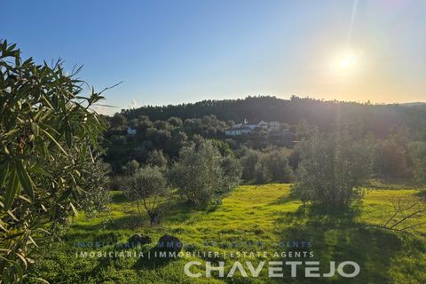 Terra em Abrantes, Santarem, Abrantes - € 30.000 | Ref: 612/26 - foto 5