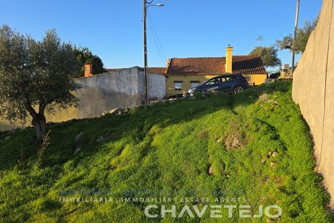 Terra em Abrantes, Santarem, Abrantes - € 30.000 | Ref: 612/26 - foto 6