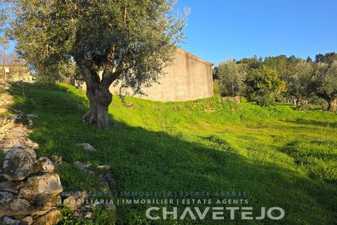 Terra em Abrantes, Santarem, Abrantes - € 30.000 | Ref: 612/26 - foto 8