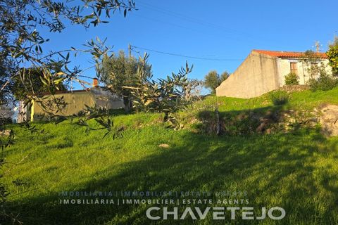 Terra em Abrantes, Santarem, Abrantes - € 30.000 | Ref: 612/26 - foto 10