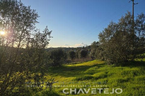 Terra em Abrantes, Santarem, Abrantes - € 30.000 | Ref: 612/26 - foto 12