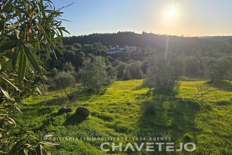 Terra em Abrantes, Santarem, Abrantes - € 30.000 | Ref: 612/26 - foto 13