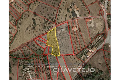 Terra em Abrantes, Santarem, Abrantes - € 30.000 | Ref: 612/26 - foto 14