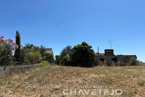 Byhus i Tomar, Santarem, Tomar - € 65.000 | Ref: 809/26 - foto 5