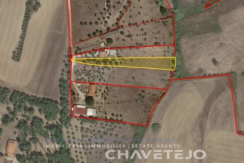 Byhus i Tomar, Santarem, Tomar - € 65.000 | Ref: 809/26 - foto 19