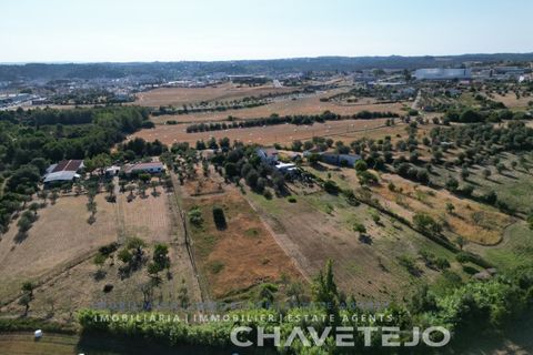 Byhus i Tomar, Santarem, Tomar - € 65.000 | Ref: 809/26 - foto 17