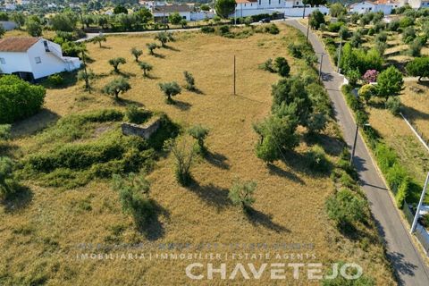 Terra em Abrantes, Santarem, Abrantes - € 145.000 | Ref: 613/26 - foto 2
