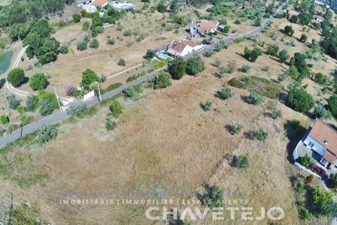 Terra em Abrantes, Santarem, Abrantes - € 145.000 | Ref: 613/26 - foto 7
