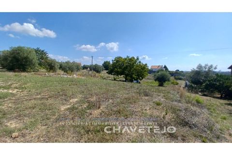 Tomt i Tomar, Santarem, Tomar - € 55 000 | Ref: 623/22 - foto 4