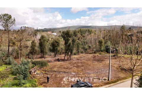 Terra a Ansiao, Leiria, Ansiao - € 20.000 | Ref: 610/25 - foto 2