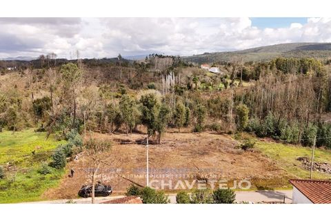 Terra a Ansiao, Leiria, Ansiao - € 20.000 | Ref: 610/25 - foto 3