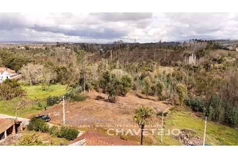Terra a Ansiao, Leiria, Ansiao - € 20.000 | Ref: 610/25 - foto 4