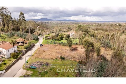 Terra a Ansiao, Leiria, Ansiao - € 20.000 | Ref: 610/25 - foto 6