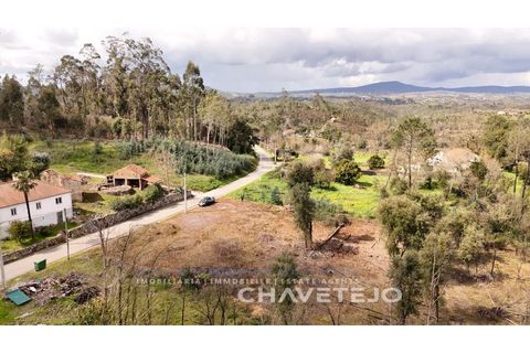 Terra a Ansiao, Leiria, Ansiao - € 20.000 | Ref: 610/25 - foto 7