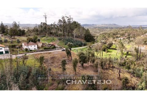 Terra a Ansiao, Leiria, Ansiao - € 20.000 | Ref: 610/25 - foto 9