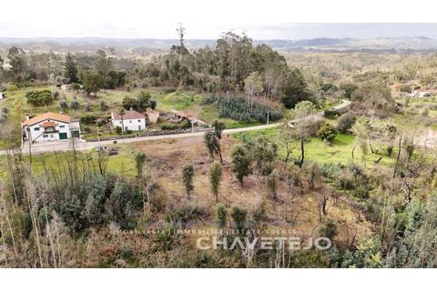 Terra a Ansiao, Leiria, Ansiao - € 20.000 | Ref: 610/25 - foto 10