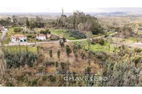 Terra a Ansiao, Leiria, Ansiao - € 20.000 | Ref: 610/25 - foto 11