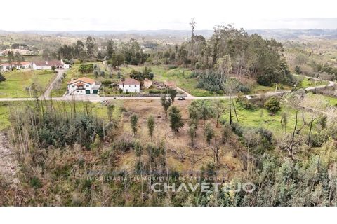 Terra a Ansiao, Leiria, Ansiao - € 20.000 | Ref: 610/25 - foto 12