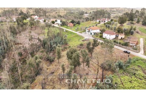 Terra a Ansiao, Leiria, Ansiao - € 20.000 | Ref: 610/25 - foto 13