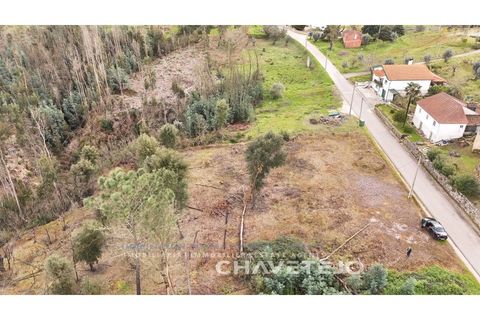 Terra a Ansiao, Leiria, Ansiao - € 20.000 | Ref: 610/25 - foto 14