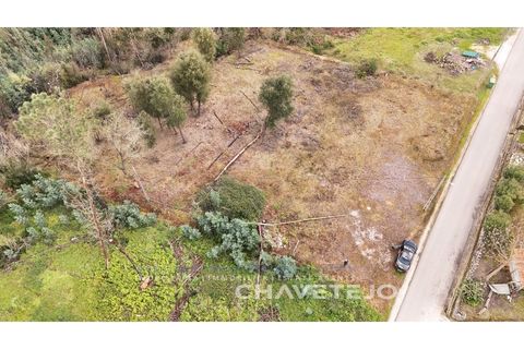 Terra a Ansiao, Leiria, Ansiao - € 20.000 | Ref: 610/25 - foto 15