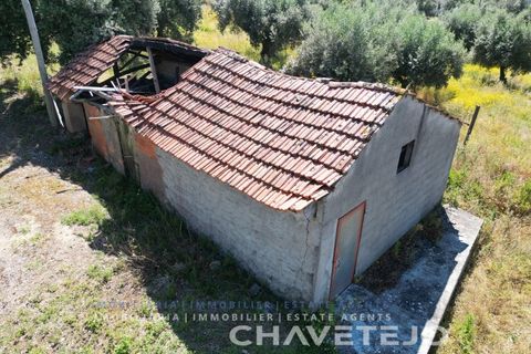 Terreno en Ourem, Santarem, Ourem - € 20.000 | Ref: 617/24 - photo 1