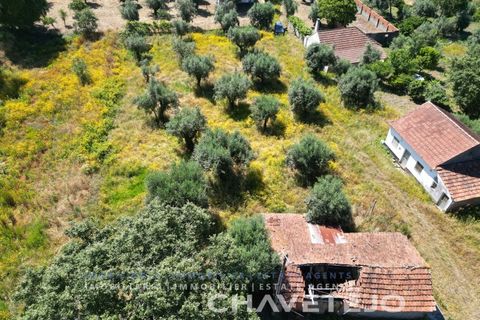 Terreno en Ourem, Santarem, Ourem - € 20.000 | Ref: 617/24 - photo 4