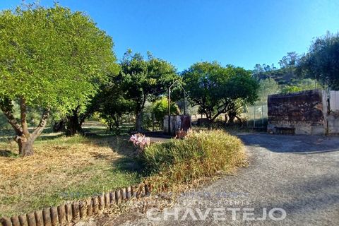 Villa i Tomar, Santarem, Tomar - € 230.000 | Ref: 554/25 - foto 32