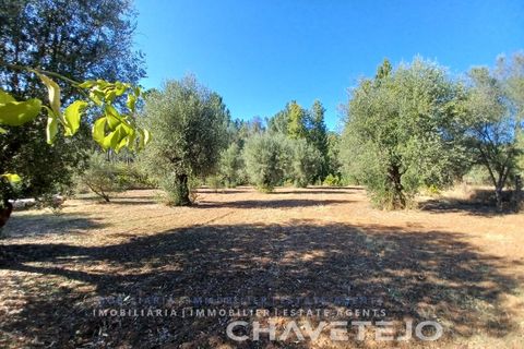 Villa i Tomar, Santarem, Tomar - € 230.000 | Ref: 554/25 - foto 33