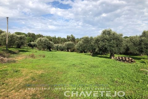 Helårsgrund i Asseiceira, Santarem, Asseiceira - € 75.000 | Ref: 620/18 - foto 2