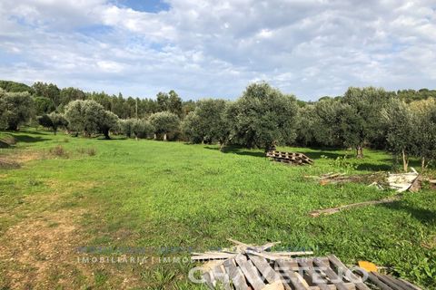 Helårsgrund i Asseiceira, Santarem, Asseiceira - € 75.000 | Ref: 620/18 - foto 3