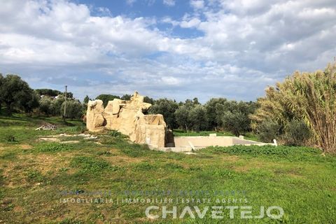 Helårsgrund i Asseiceira, Santarem, Asseiceira - € 75.000 | Ref: 620/18 - foto 4