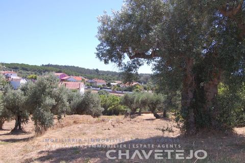 Helårsgrund i Asseiceira, Santarem, Asseiceira - € 75.000 | Ref: 620/18 - foto 6