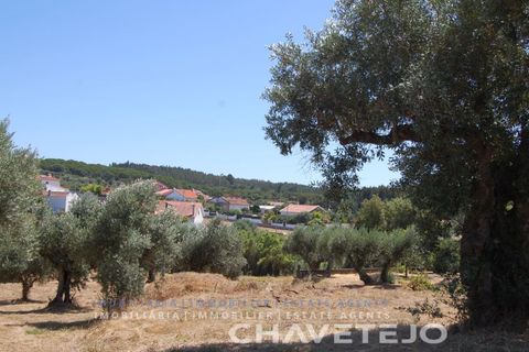 Helårsgrund i Asseiceira, Santarem, Asseiceira - € 75.000 | Ref: 620/18 - foto 7